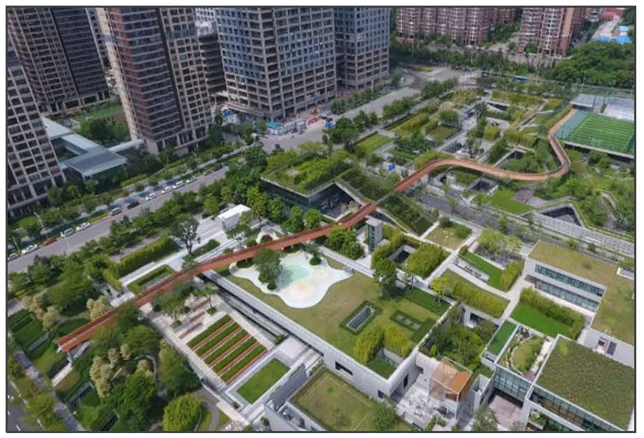 Specialized Plan and Implementation Strategy of Shenzhen Sponge City Development