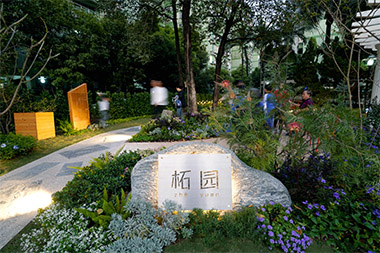 Shenzhen Community Co-Built Gardens